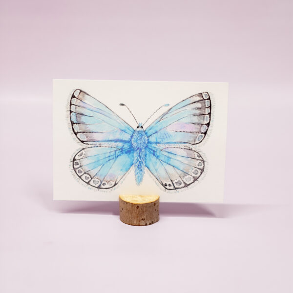 Bleek blauwtje kaart vlinder