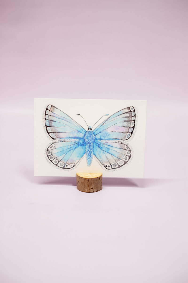 Bleek blauwtje kaart vlinder