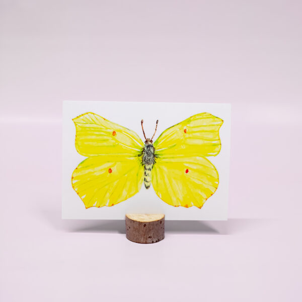 Citroenvlinder kaart kosmos en aarde