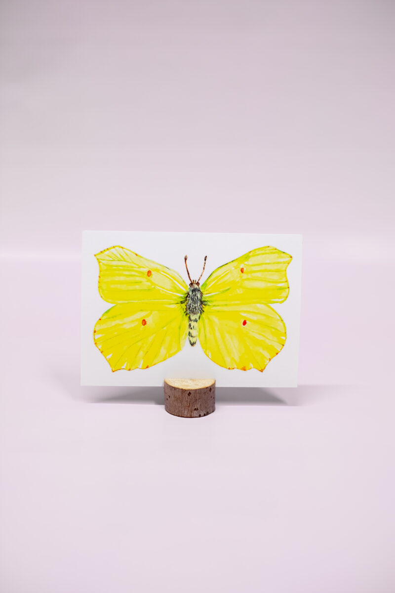 Citroenvlinder kaart kosmos en aarde