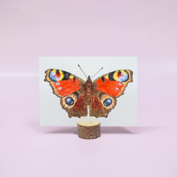 Dagpauwoog kosmos en aarde kaart