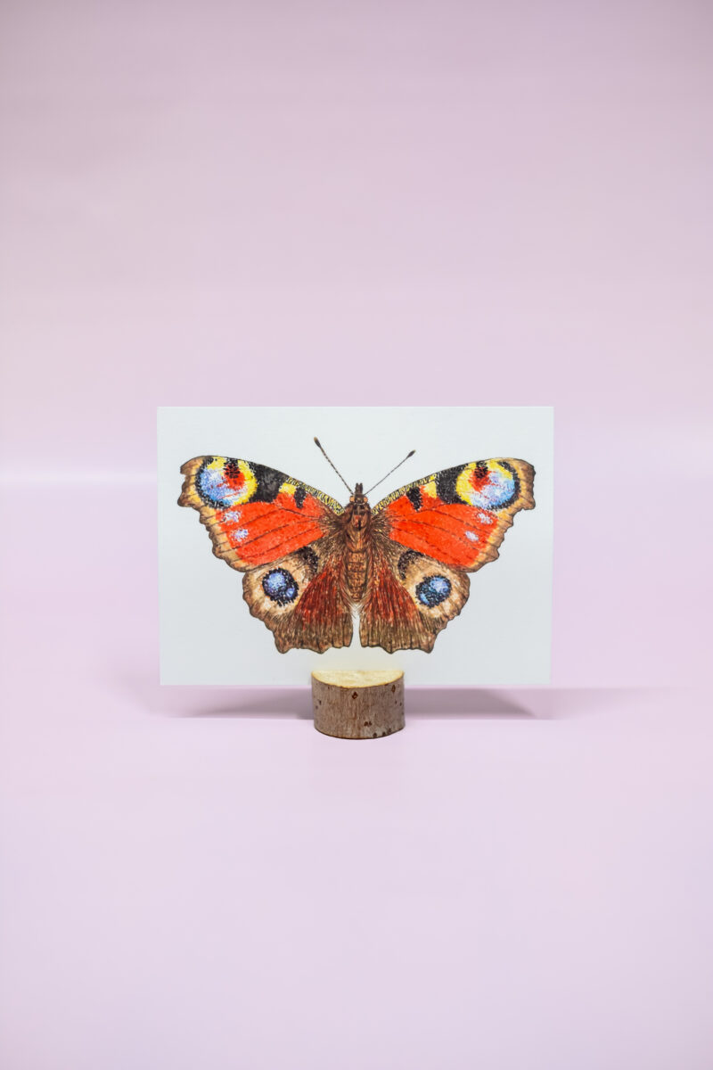 Dagpauwoog kosmos en aarde kaart