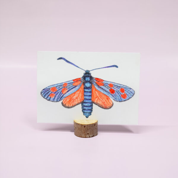 Sintjansvlinder kaart